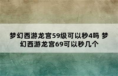 梦幻西游龙宫59级可以秒4吗 梦幻西游龙宫69可以秒几个